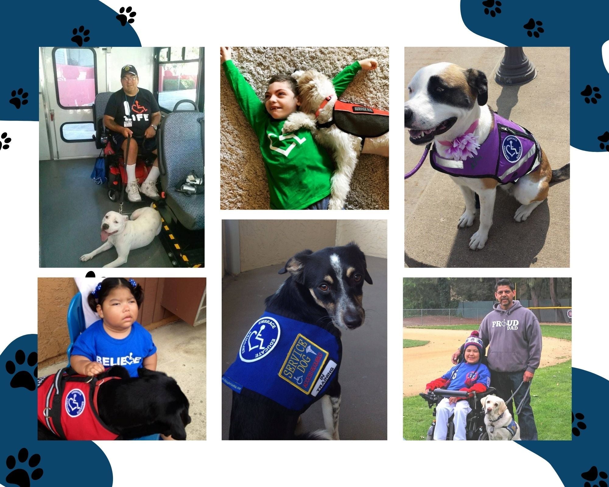 National Love Your Pet Day - Service Animal Appreciation